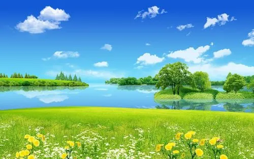 全自动节能全自动